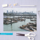 San Francisco en Pier 39 Zee Lions City Skyline Tissuepapier (Craft)