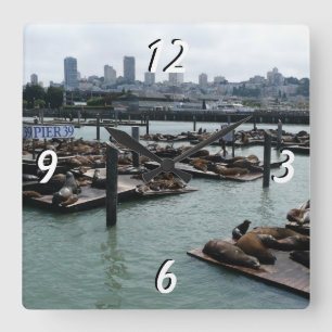 San Francisco en Pier 39 Zeeleeuwen Stadsprofiel Vierkante Klok