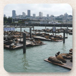 San Francisco en Pier 39 Zeeleeuwen Stadssilhouet Bier Onderzetter