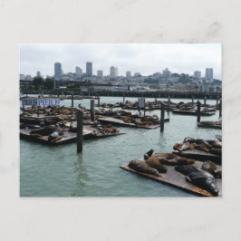 San Francisco en Pier 39 Zeeleeuwen Stadssilhouet Briefkaart