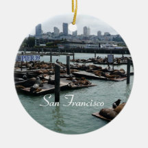 San Francisco en Pier 39 Zeeleeuwen Stadssilhouet
