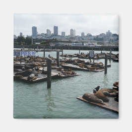 San Francisco en Pier 39 Zeeleeuwen Stadssilhouet Magneet