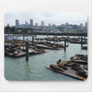 San Francisco en Pier 39 Zeeleeuwen Stadssilhouet Muismat