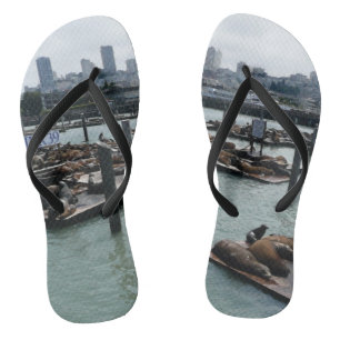 San Francisco en Pier 39 Zeeleeuwen Stadssilhouet Teenslippers