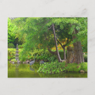San Francisco Japans Tea Garden Pond #4 Briefkaart