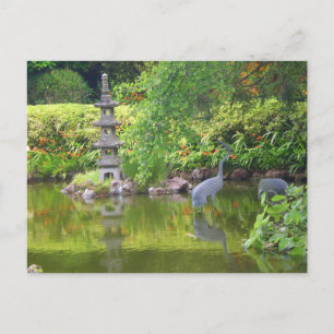 San Francisco Japans Tea Garden Pond #5 Briefkaart