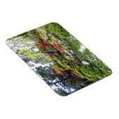 San Francisco Japanse Tea Garden #10 Magnet Magneet (Rechterzijde)