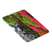 San Francisco Japanse Tea Garden #12 Magnet Magneet (Rechterzijde)