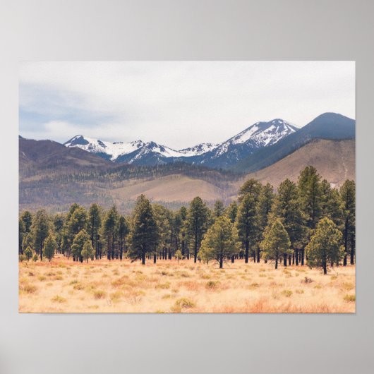 San Francisco Mountains Poster (Voorkant)