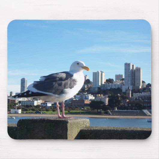 san francisco. muismat (Voorkant)