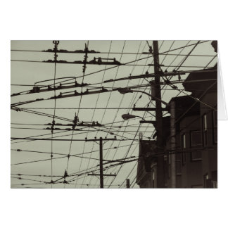 San Francisco MUNI-lijnen