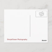 San Francisco Peak in de Herfst Briefkaart (Achterkant)