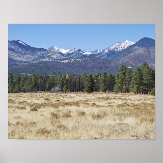 San Francisco Peaks - Flagstaff, Arizona poster (Voorkant)