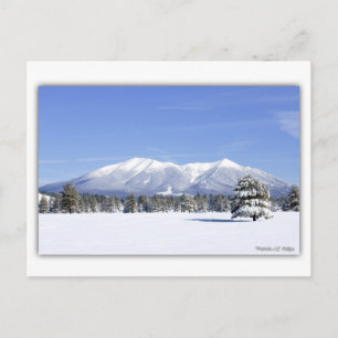 San Francisco Peaks In Sneeuw Briefkaart