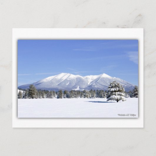 San Francisco Peaks In Sneeuw Briefkaart (Voorkant)