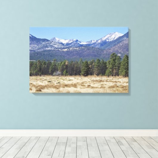San Francisco Peaks verpakt canvas (Insitu (Houten vloer))