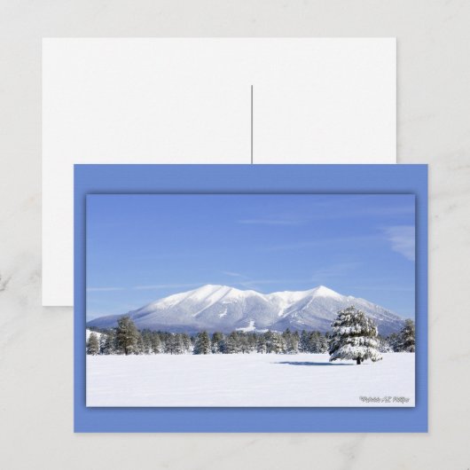 San Francisco piept op sneeuw Briefkaart (Voorkant / Achterkant)