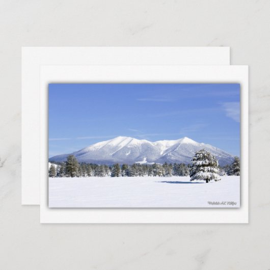 San Francisco piept op sneeuw Briefkaart (Voorkant / Achterkant)