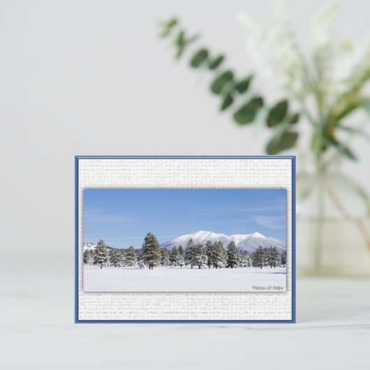 San Francisco piept op sneeuw Briefkaart (Staand voorkant)