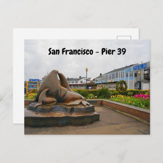 San Francisco Pier 39 #13 Briefkaart (Voorkant / Achterkant)