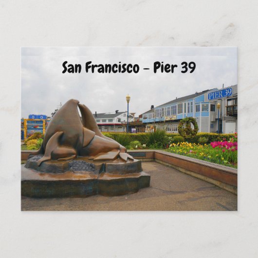 San Francisco Pier 39 #13 Briefkaart (Voorkant)
