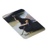 San Francisco Pier 39 Zee Lion #2 Magnet Magneet (Rechterzijde)