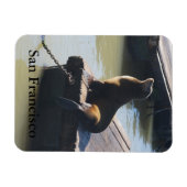 San Francisco Pier 39 Zee Lion #2 Magnet Magneet (Horizontaal)