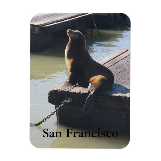 San Francisco Pier 39 Zee Lion #2 Magnet Magneet (Verticaal)