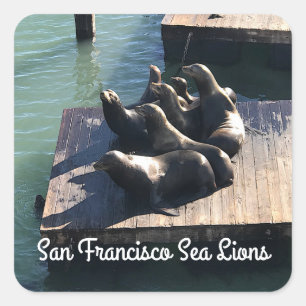 San Francisco Pier 39 Zee Lion #2 Sticker