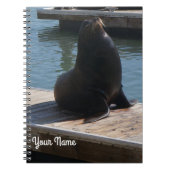 San Francisco Pier 39 Zee Lion #3-2 Notitieboek (Voorkant)