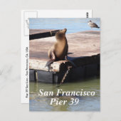 San Francisco Pier 39 Zee Lion Briefkaart (Voorkant / Achterkant)