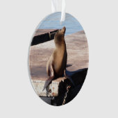 San Francisco Pier 39 Zee Lion Kerstversiering Ornament (voorkant)