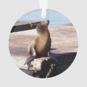 San Francisco Pier 39 Zee Lion Kerstversiering Ornament (achterkant)