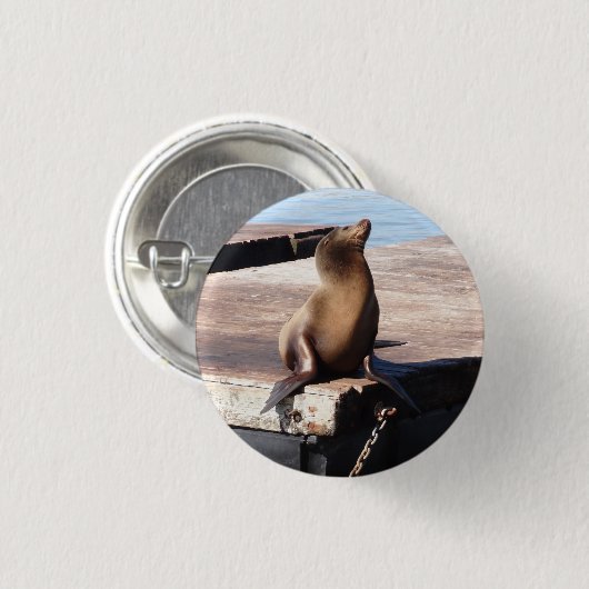 San Francisco Pier 39 Zee Lion Pinback Button (Voorkant /achterkant)