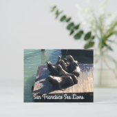 San Francisco Pier 39 Zee Lions #2 Briefkaart (Staand voorkant)