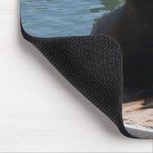 San Francisco Pier 39 Zee Lions #3-2 Muismat (Hoek)