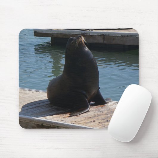 San Francisco Pier 39 Zee Lions #3-2 Muismat (Met muis)