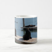 San Francisco Pier 39 Zee Lions #3 Mok (Center)