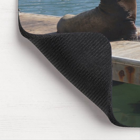 San Francisco Pier 39 Zee Lions #3 Muismat (Hoek)