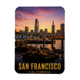 San Francisco Pier 39 Zeeleeuwen Californië Kust Magneet