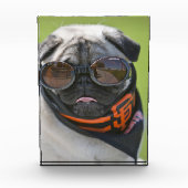 San Francisco Pug Fotoblokken (Voorkant)