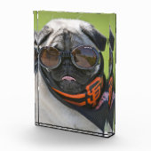 San Francisco Pug Fotoblokken (Rechts)