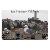 San Francisco Seagull Premium Flexi Magnet Magneet (Horizontaal)
