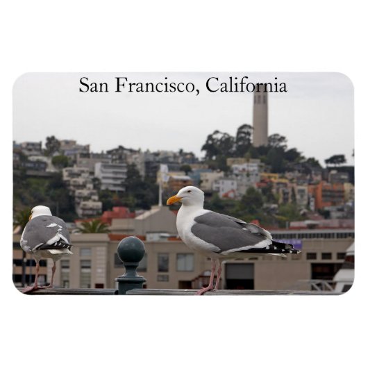 San Francisco Seagull Premium Flexi Magnet Magneet (Horizontaal)