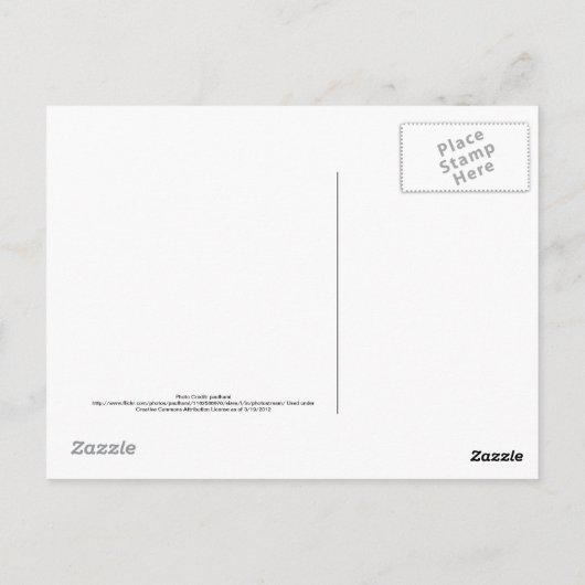 San Francisco Skyline w/ San Francisco in de Sky Briefkaart (Achterkant)