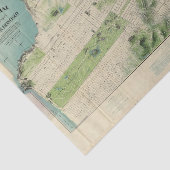 San Francisco Tissuepapier (Detail)