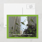 San Francisco Wild Parrots van Telegraph Hill Briefkaart (Voorkant / Achterkant)