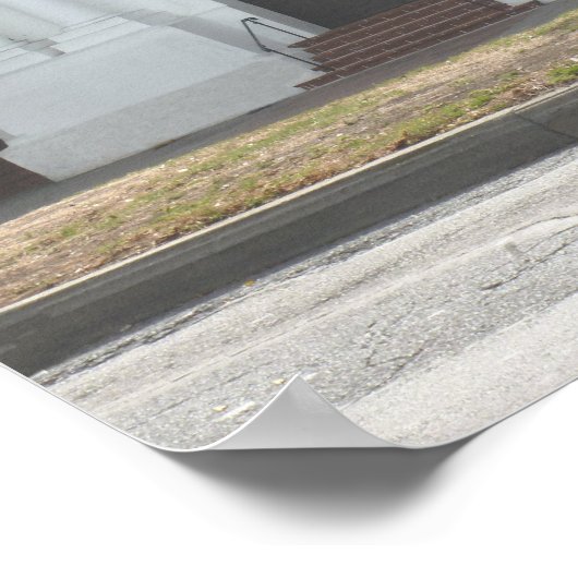 San Francisco's Mission Dolores Poster (Hoek)