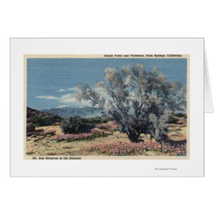 San Gorgonio Uitzicht, Rookbomen