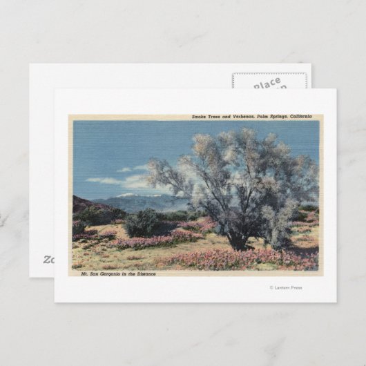 San Gorgonio Uitzicht, Rookbomen Briefkaart (Voorkant / Achterkant)